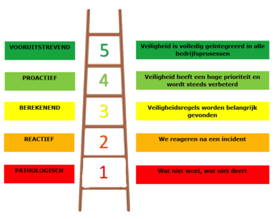 Safety Culture Ladder SCL